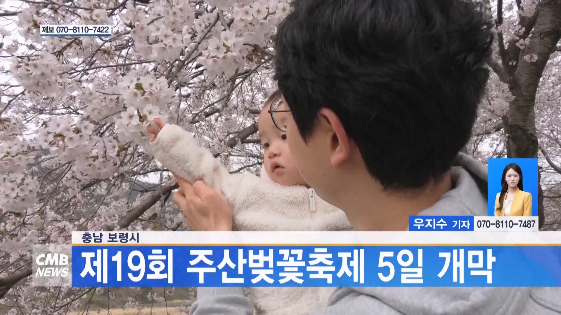 [0404 CMB 5시뉴스]보령시, 제19회 주산벚꽃축제 5일 개막